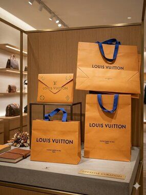 Set of 2 Authentic Louis Vuitton Paper Shopping Bags – Excellent